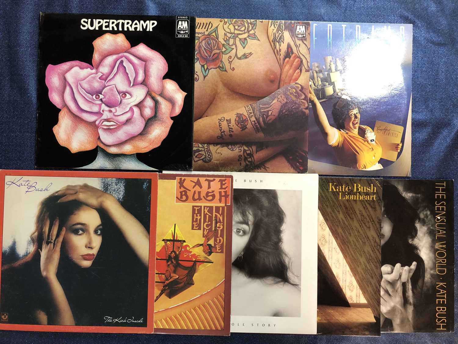 Lot 7 - Supertramp / Kate Bush – 7 LP Records & 1x12”...