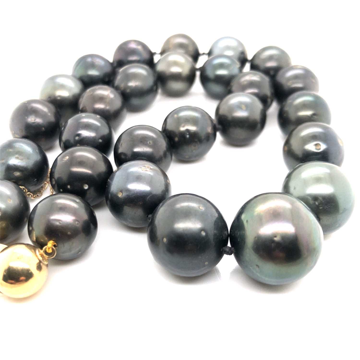 Lot 13 - A graduated row of Tahitian iridescent...