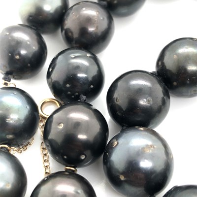 Lot 13 - A graduated row of Tahitian iridescent...