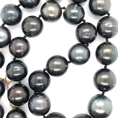 Lot 13 - A graduated row of Tahitian iridescent...