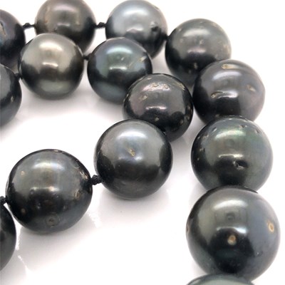 Lot 13 - A graduated row of Tahitian iridescent...