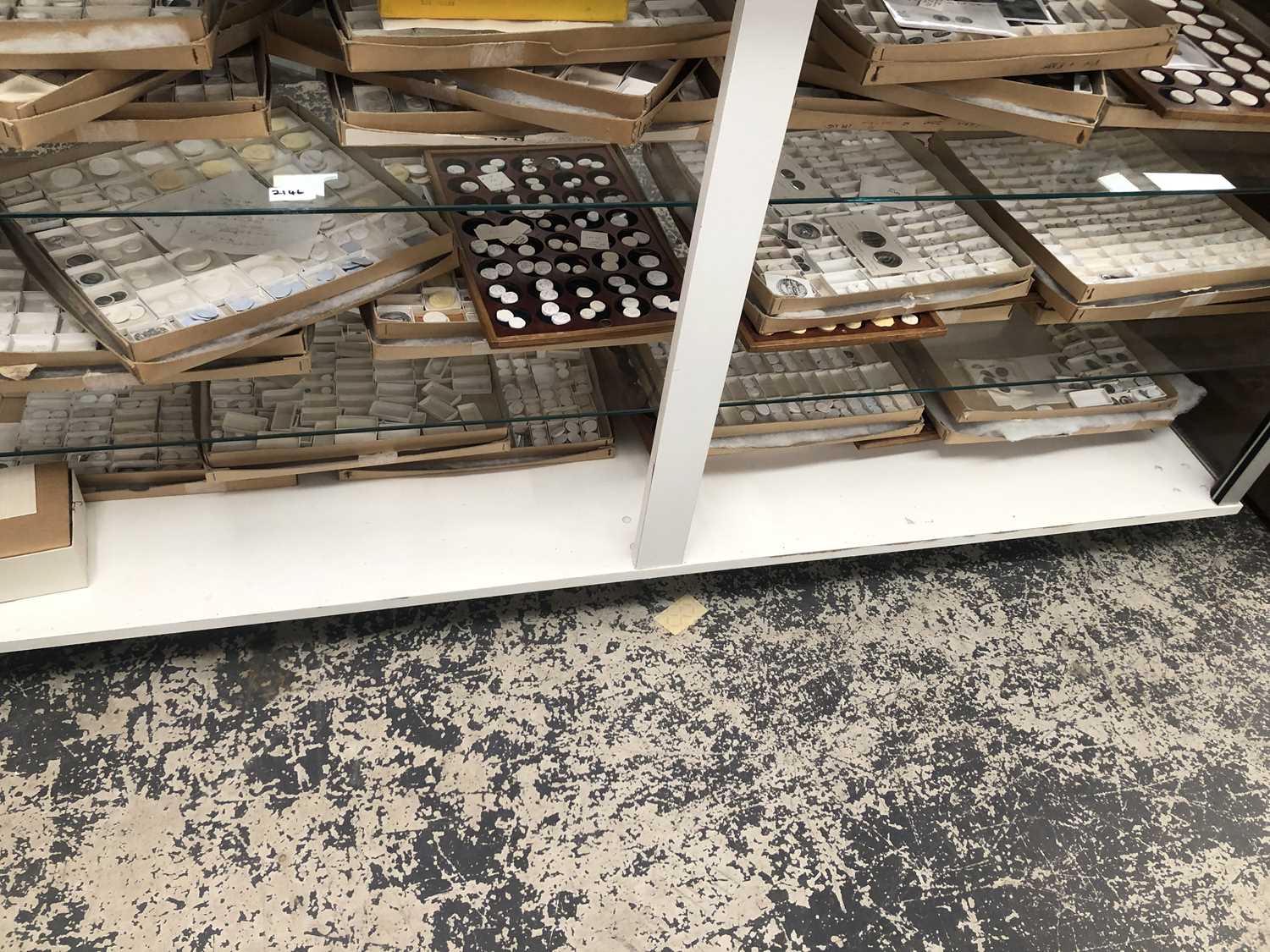 Lot 2146 - A large quantity of plaster Museum casts taken...