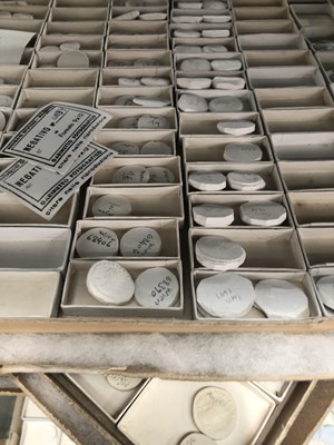 Lot 2146 - A large quantity of plaster Museum casts taken...