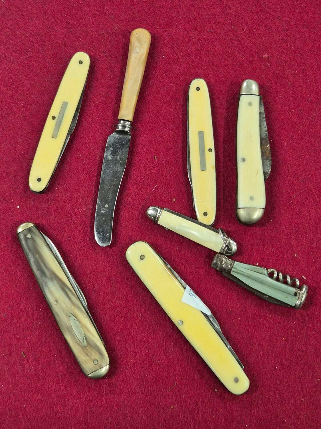 Lot 213 - A small collection of pocket knives.