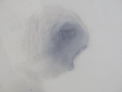 Lot 68 - Stephen Anthony Rodriques. Mandy 2014, print. ...