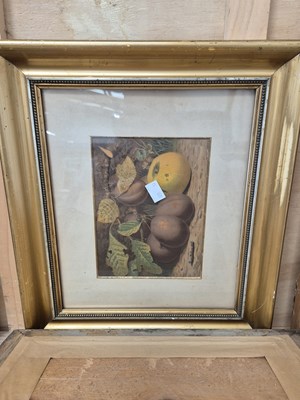Lot 265 - A pair of still life prints of fruit.
