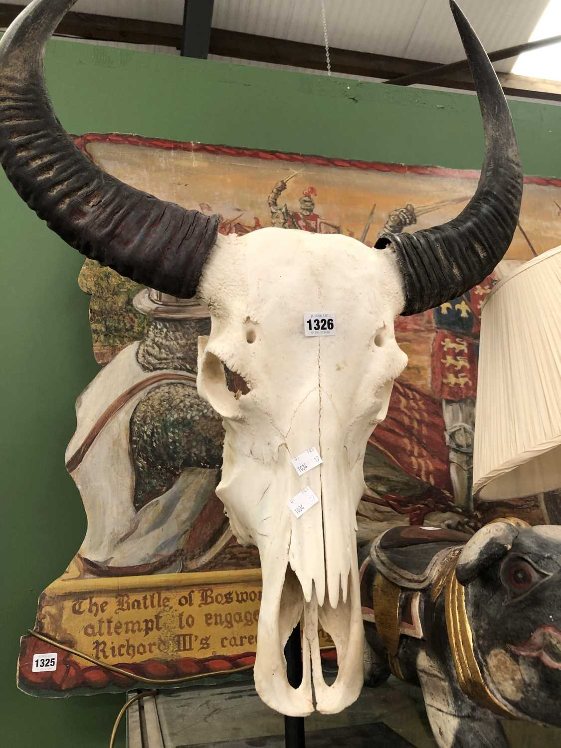 Lot 1326 - A spiral horned antelope skull with horns
