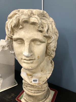 Lot 487 - A plaster bust of a classical male.   H 51cms....