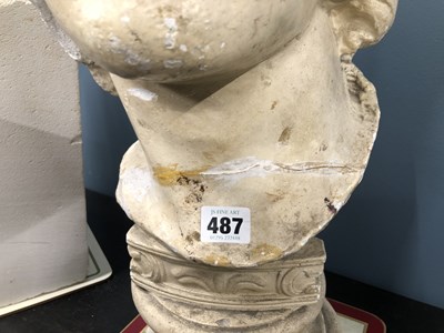 Lot 487 - A plaster bust of a classical male.   H 51cms....