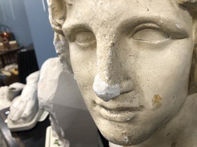 Lot 487 - A plaster bust of a classical male.   H 51cms....