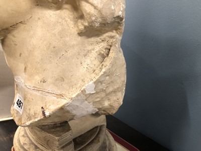Lot 487 - A plaster bust of a classical male.   H 51cms....