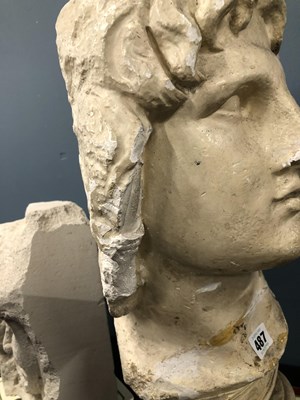 Lot 487 - A plaster bust of a classical male.   H 51cms....