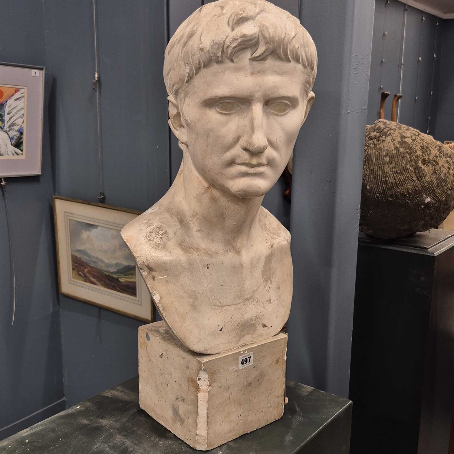 Lot 497 - A plaster bust of the young Augustus Caesar. H...