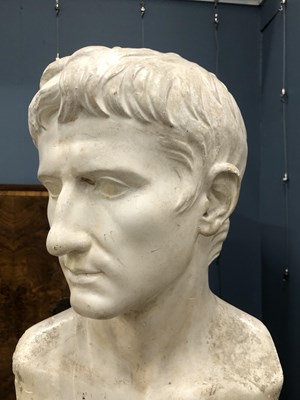 Lot 497 - A plaster bust of the young Augustus Caesar. H...