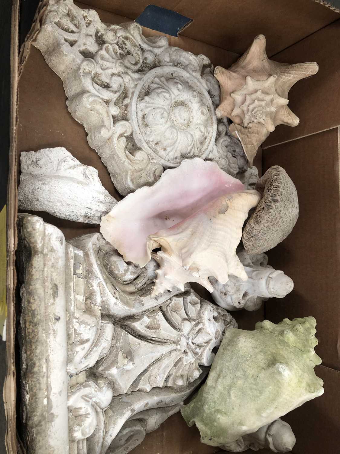 Lot 1661 - A collection of sea shells and architectural...