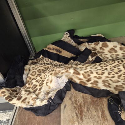 Lot 1396 - A rare antique leopard skin rug with a mounted...