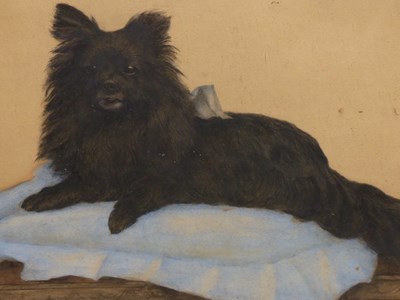 Lot 17 - A. J. Eyels (c.1919) Study of a small black...