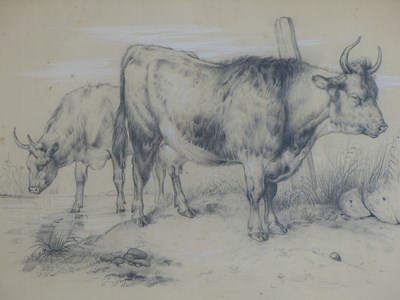 Lot 54 - Early 19th-century school. Study of horned...