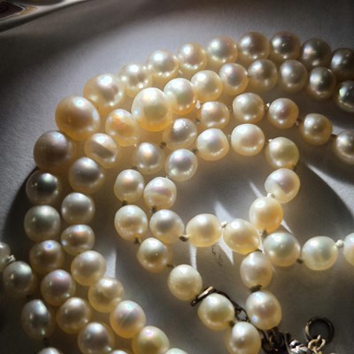 Lot 17 - A vintage double-strand graduated cultured...