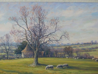 Lot 79 - Mervyn Goode (B.1948) ARR  Sheep and long...