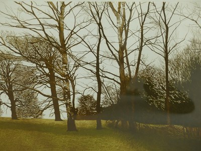 Lot 101 - Christopher Penny ( 1947-2001) Trees at...