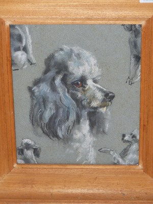 Lot 112 - 20th-century school. Portrait of a poodle with...