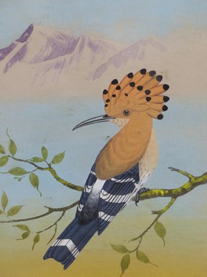 Lot 154 - P.L. Dangol. ( 20th century) A Hoopie bird....