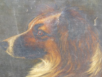 Lot 175 - F.N. Frohawk. (19th century) Study of a collie...