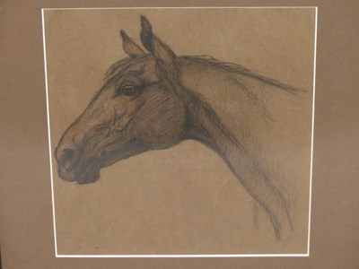 Lot 221 - Early 20th-century school. Study of a Horse....