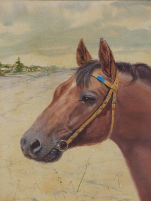Lot 233 - 20th-century school. Study of a horse in...