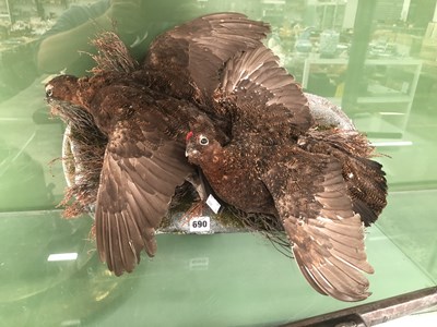 Lot 690 - A brace of taxidermy grouse