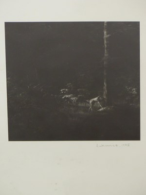Lot 1812 - Jerome Lukowicz. Nude in Forest. Photographic...