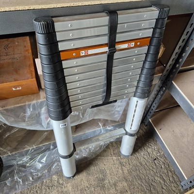 Lot 776 - A modern extending ladder and a very large...