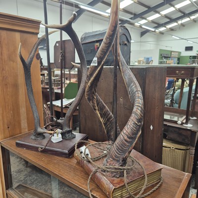 Lot 1063 - Two Antler form table lamps.