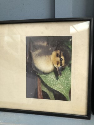 Lot 1272 - 20th century artworks, signed prints,...