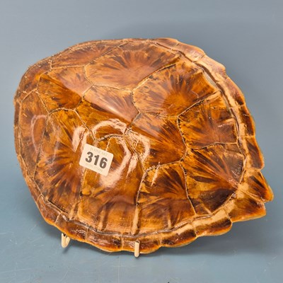 Lot 316 - SPARE LOT