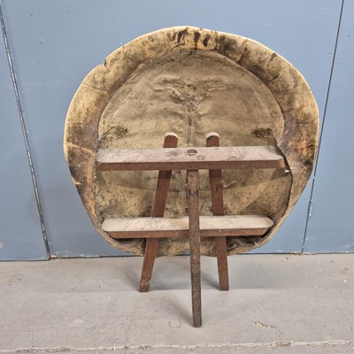 Lot 416 - A white turtle shell mounted with a wooden...