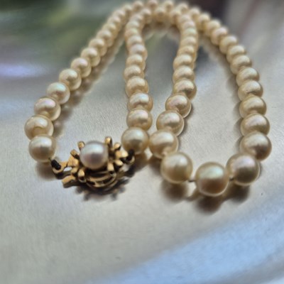 Lot 85 - A princess row of cultured pearls with a 9ct...
