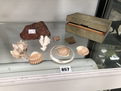 Lot 857 - Shells, specimen stones and a shagreen...