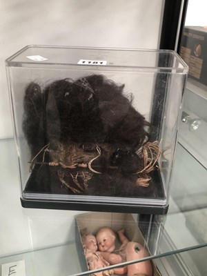Lot 1181 - A Shrunken head
