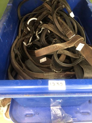 Lot 1232 - A Wintec saddle, horse blankets, various bits...