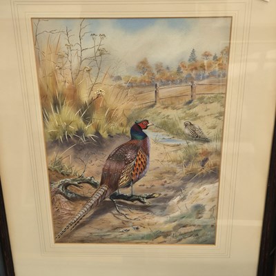 Lot 1472 - John Baxendale-  A Pheasant in landscape....