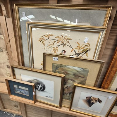 Lot 1516 - Six Various watercolours and drawings , birds,...
