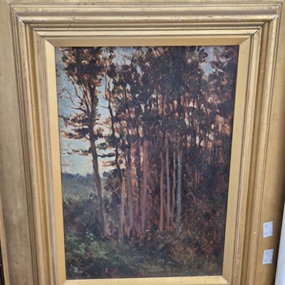 Lot 1535 - An early 20th century oil painting, woodland...