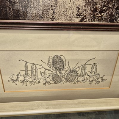 Lot 1595 - A pen and ink drawing of thistles, a Japanese...