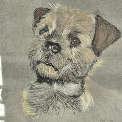 Lot 1614 - Portrait study of a terrier, signed indistinctly.