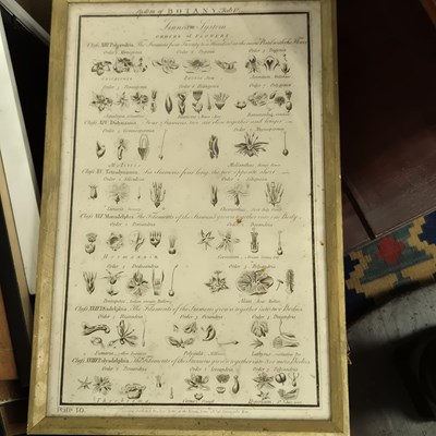 Lot 1616 - An 18th-century botanical print and a quantity...