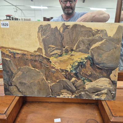 Lot 1620 - Oil on board - rocky landscape