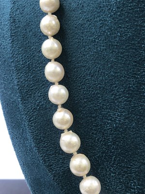 Lot 632 - A row of cultured pearls with a ball clasp,...