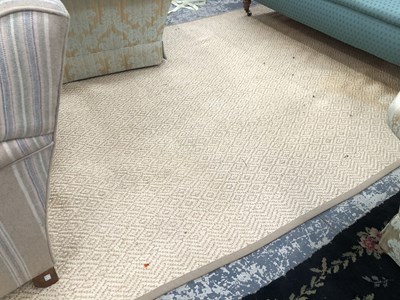 Lot 1648 - Two natural fiber carpets, 300 x 170cms (2)